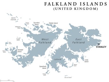 Falkland Adaları siyasi harita