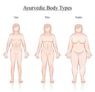 Ayurvedic Body Constitution Types Women clipart