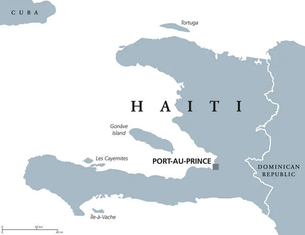 Politische Landkarte Haitis — Stockvektor