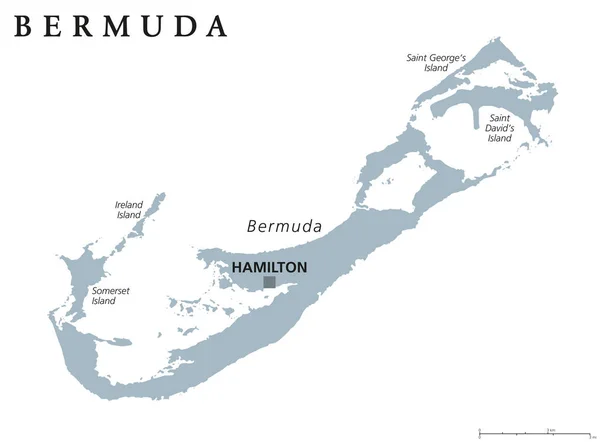 Bermuda siyasi harita — Stok Vektör