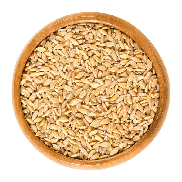 Einkorn wheat in wooden bowl over white — Stock Photo, Image