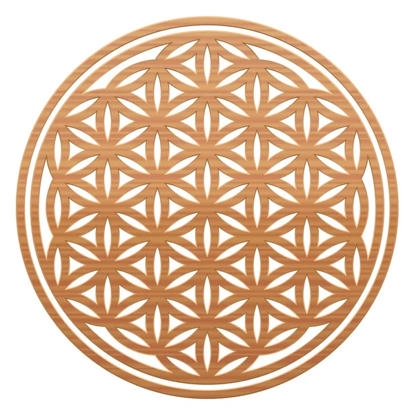 Flower Of Life Wooden Style — Stock Vector