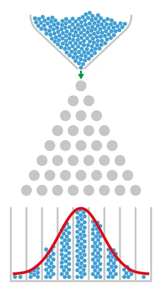 Máquina frijol, distribución normal, curva de campana gaussiana — Archivo Imágenes Vectoriales