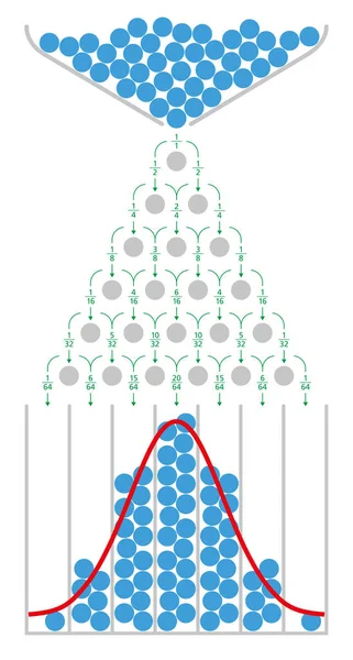 Matematika a Galton fedélzetre normális eloszlás — Stock Vector