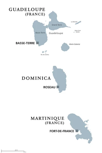 Guadeloupe, Dominica, Martinique politiska karta — Stock vektor