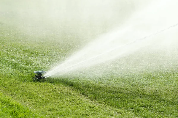 Påverkan sprinkler på gräsmattan i aktion — Stockfoto