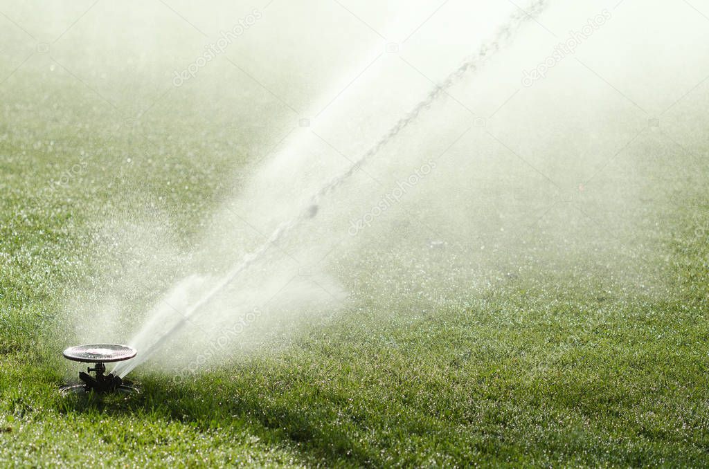 Impact sprinkler in action