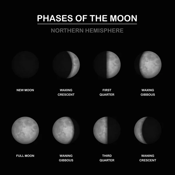 Fases Luna Hemisferio Norte — Archivo Imágenes Vectoriales