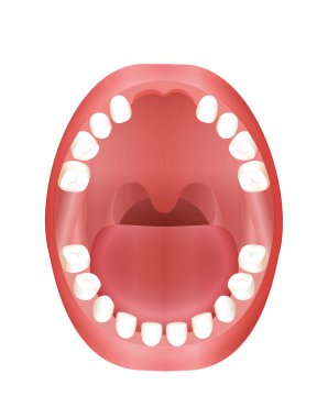 Kayıp çocuk ağız diş