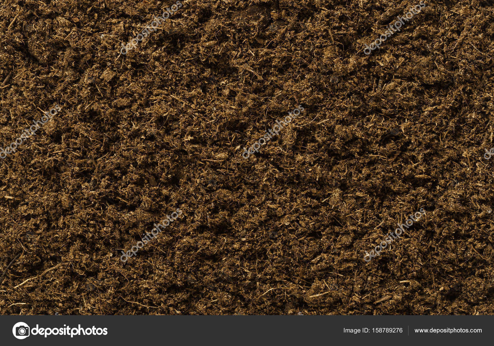 Blumenerde ebene Oberfläche — Stockfoto © Furian 158789276