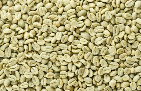 황화 녹색 Arabica 커피 콩 평평한 표면 — 스톡 사진