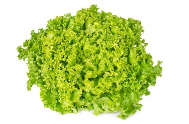 Lollo Bianco lettuce front view on white background clipart