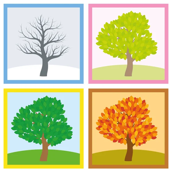 Tree Four Seasons Year Change — Stock Vector