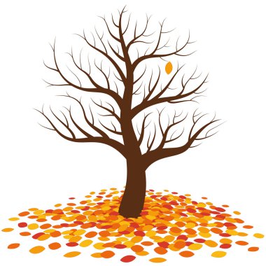 Yapraksız ağaç sonbahar Leaf Fall
