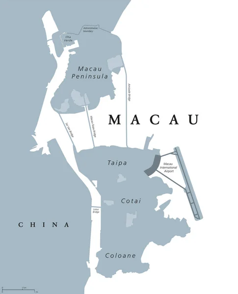Macau political map — Stock Vector