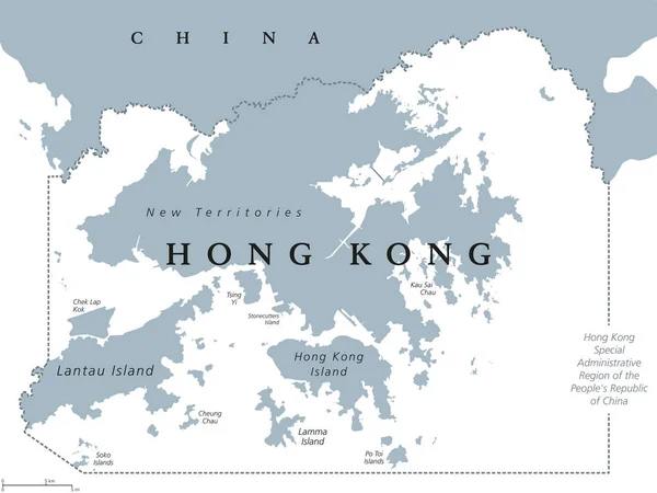 Hong Kong political map — Stock Vector