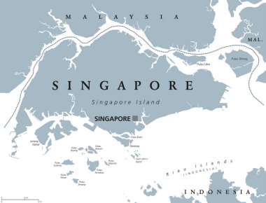 Singapur siyasi haritası