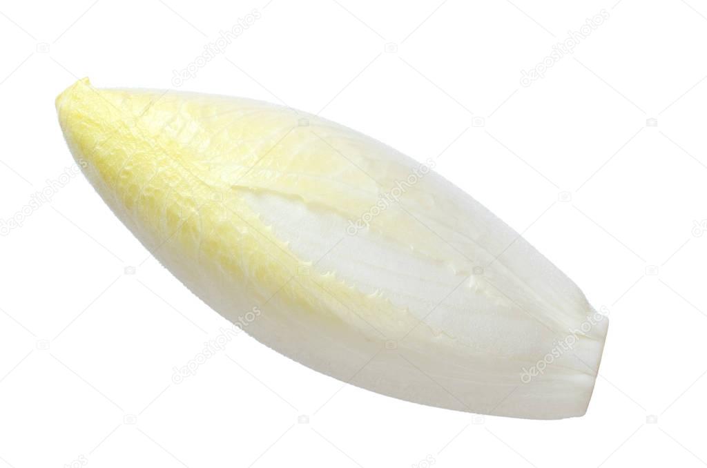 Belgian endive from above isolated over white