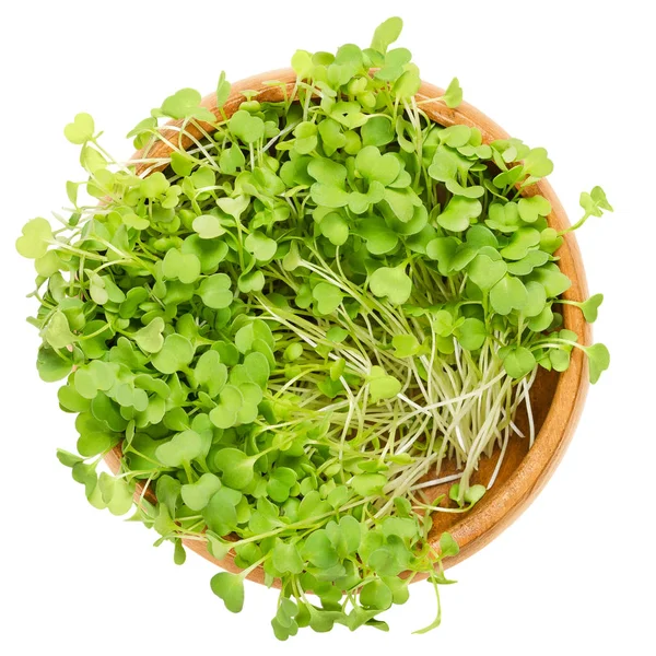Rucola-Salat-Sprossen, Rucola, in hölzerner Schüssel über weiß — Stockfoto
