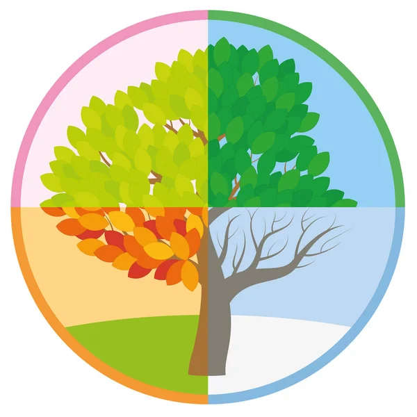 Four Seasons δέντρο άνοιξη καλοκαίρι φθινόπωρο χειμώνας — Διανυσματικό Αρχείο