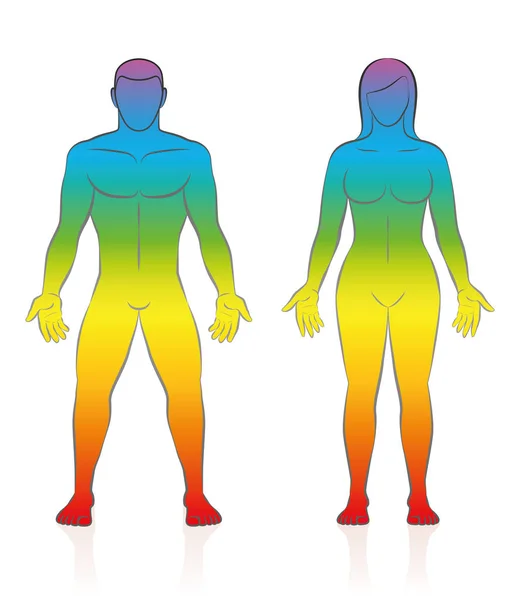 Mannelijk vrouwelijk lichaam Rainbow kleurovergang huidskleur — Stockvector