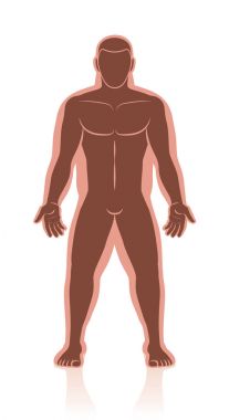 Erkek vücut sonra önce kilo kaybı