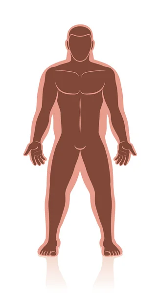 Pérdida de peso antes después del cuerpo masculino — Vector de stock