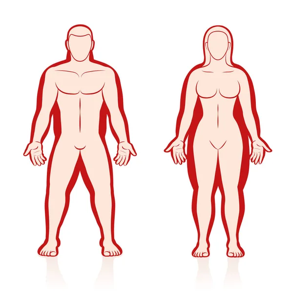 太りすぎの通常の重量比較 — ストックベクタ