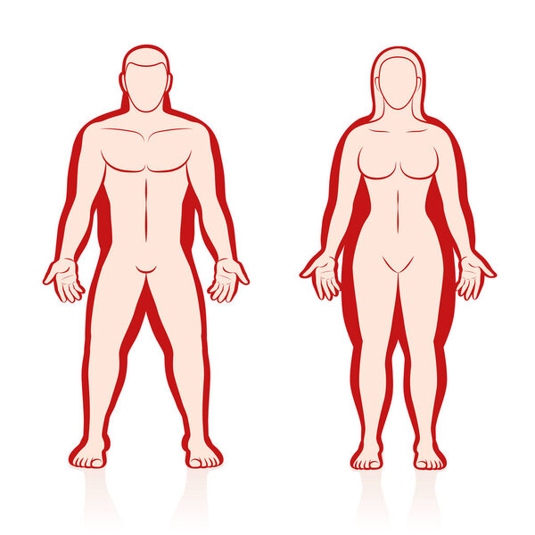 Overweight Normal Weight Comparison