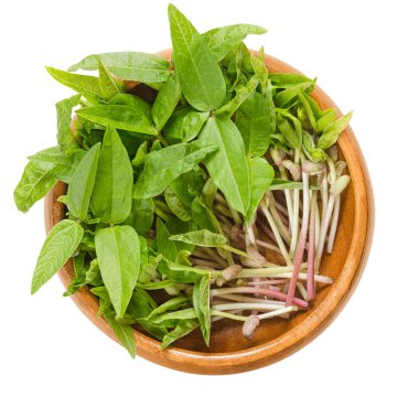 Mung fasulye microgreens ahşap kase