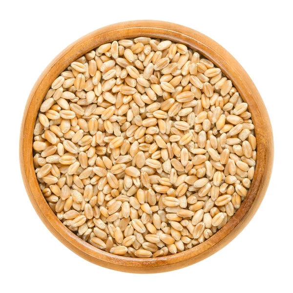 Common wheat in wooden bowl over white — Stock Photo, Image