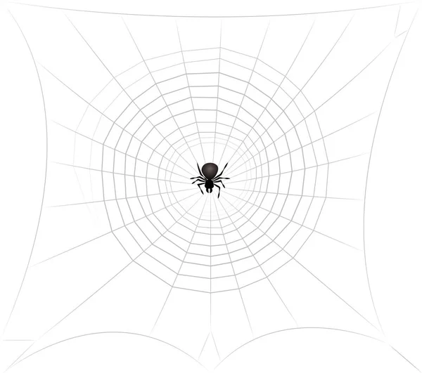 Laba-laba di Pusat Web Laba-laba Mengintai - Stok Vektor