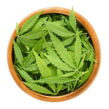 Cannabis fan leaves in wooden bowl over white clipart