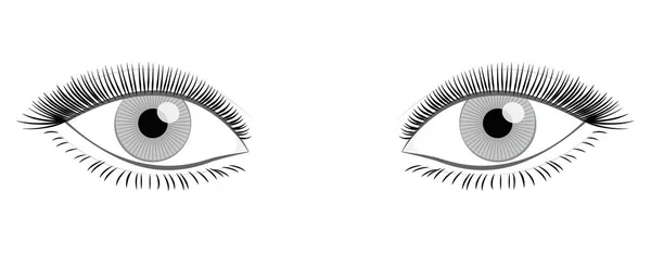 Weibliche Augen voller dicker Wimpern — Stockvektor
