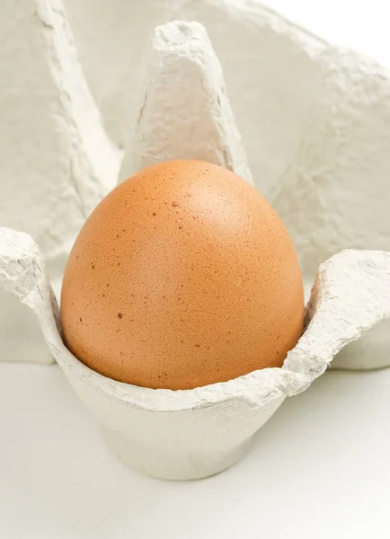 Einzelnes Hühnerei im grauen Eierkarton — Stockfoto
