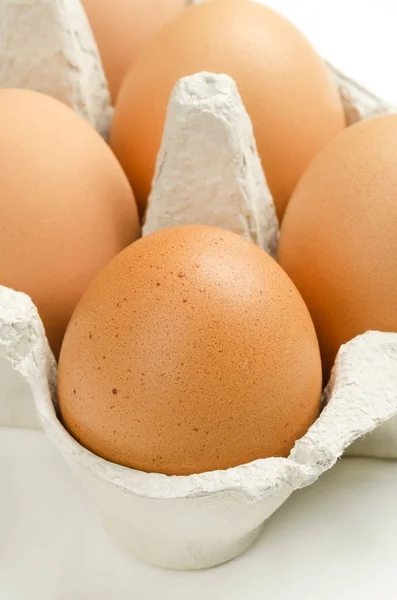 Braune Hühnereier im grauen Eierkarton — Stockfoto