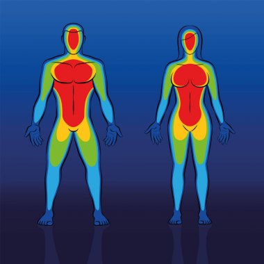 Vücut sıcaklığı Thermogram kadın erkek
