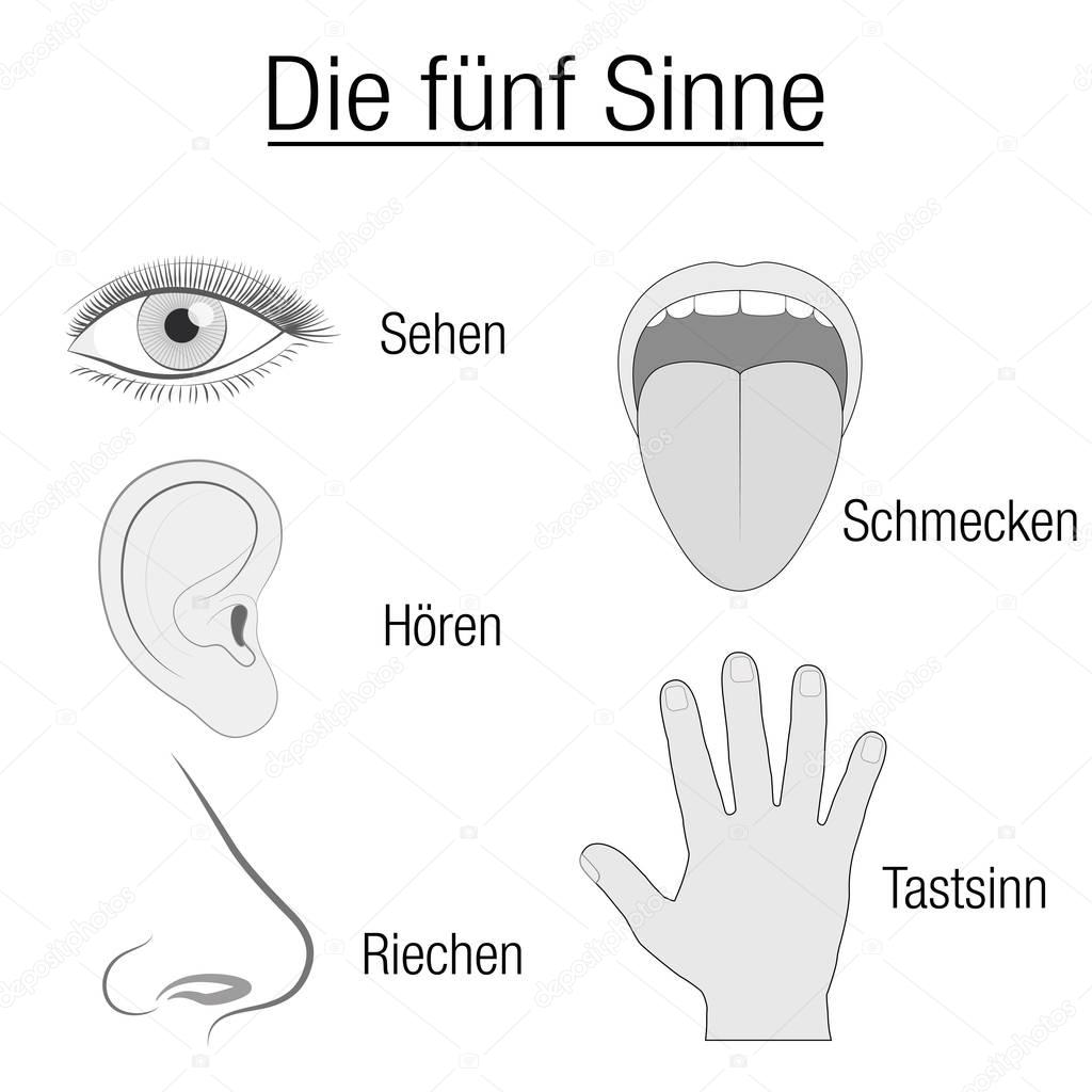 Sentido Deutsch Sentido Deutsch