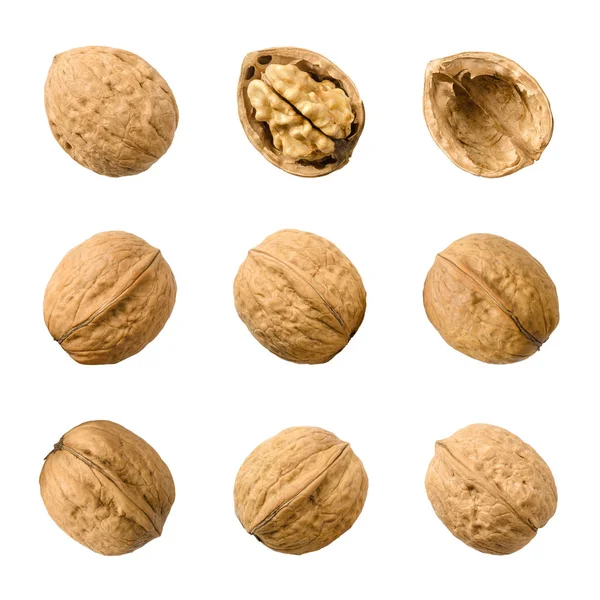 Vlašské ořechy, celé a otevřené, izolované na bílém pozadí — Stock fotografie