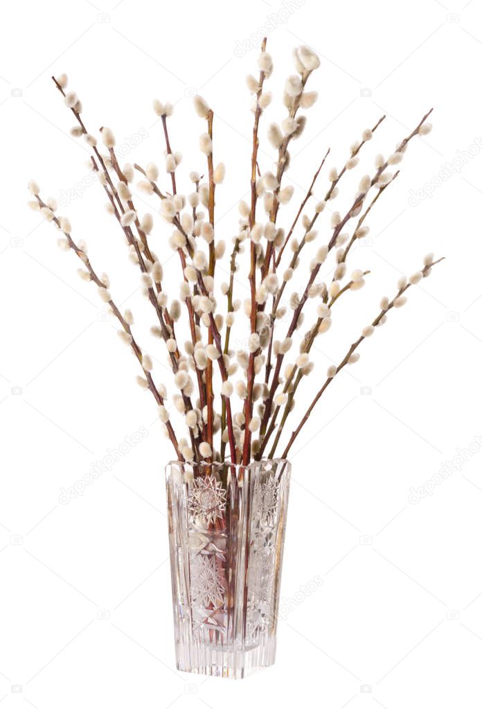 Willow bouquet with pussy willows in glass vase