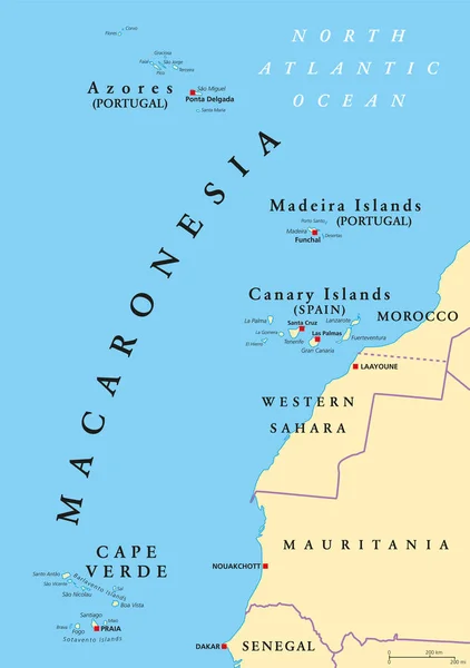 Mapa político de Macaronesia — Vector de stock