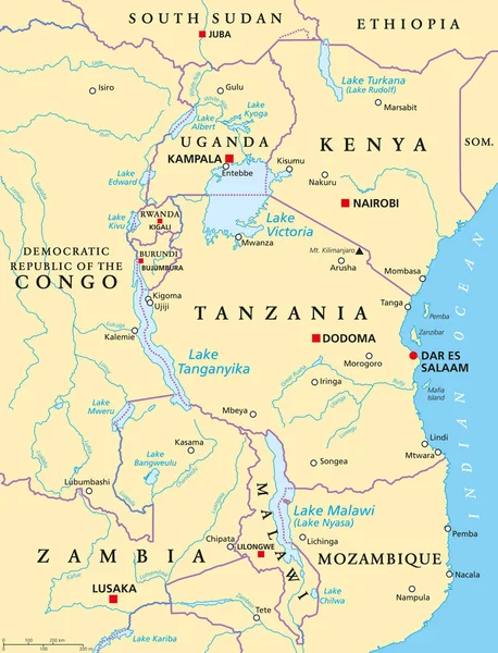 Afrikanische große Seen, politische Landkarte — Stockvektor