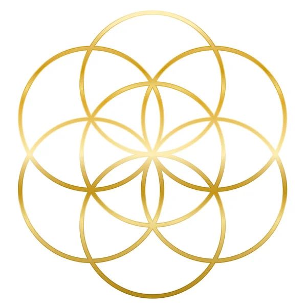 Golden Seed Of Life Flower Of Life — Stock Vector