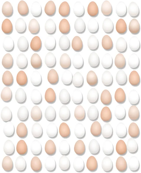Cien huevos alineados — Vector de stock