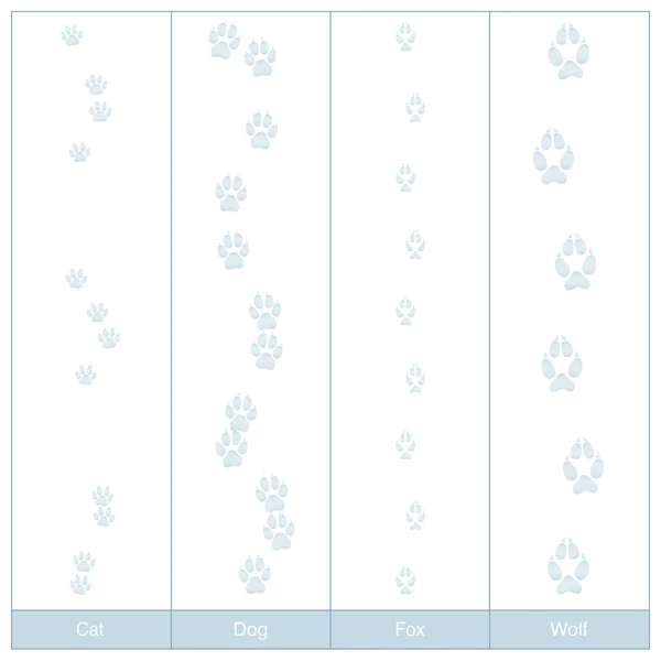 Tracks Dog Cat Fox Wolf Snow — Stock Vector