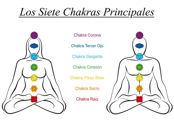 Sept Chakras majeurs noms espagnols Femme Homme Couple — Image vectorielle