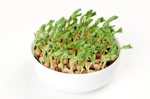 흰색 도자기 그릇에 눈 완두콩 microgreen — 스톡 사진
