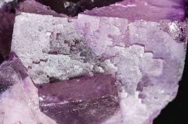 Florit yüzey portre