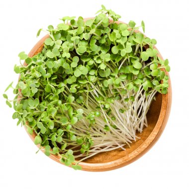 Ahşap kase içinde beyaz beyaz hardal microgreen
