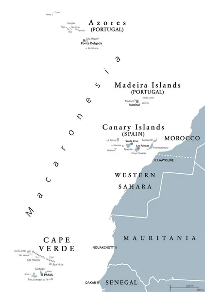 Makaronesien, graue Karte, Azoren, Kapverden, Madeira, Kanarische Inseln — Stockvektor